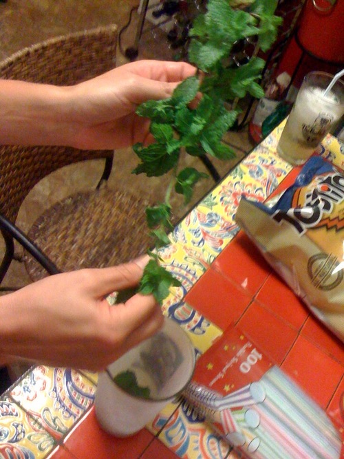 photo.jpg