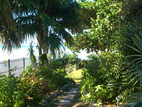 photo 2.jpg