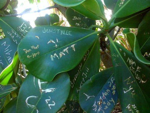 photo 4.jpg