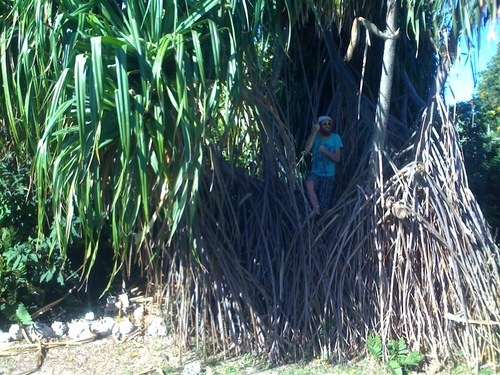 photo.jpg